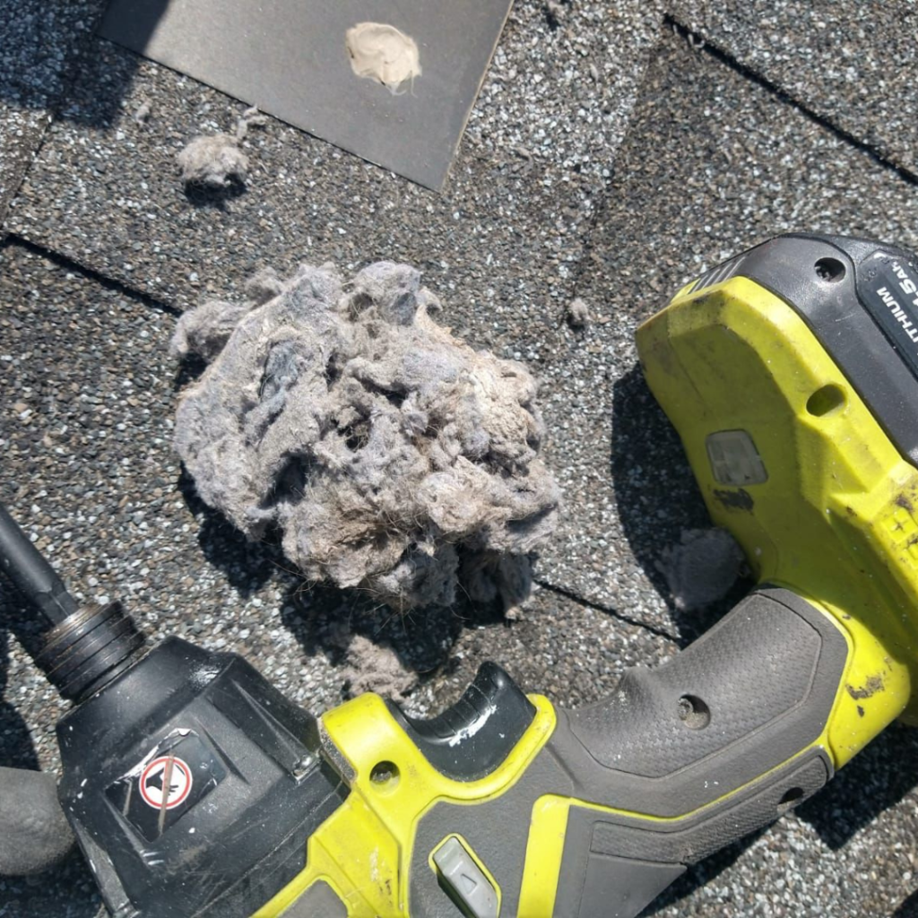 Title: Professional Dryer Vent Cleaning Services by Erin